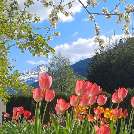 Naturhaus Andrea グロースアルル エクステリア 写真